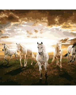 Fehér lovak számozott kifestő