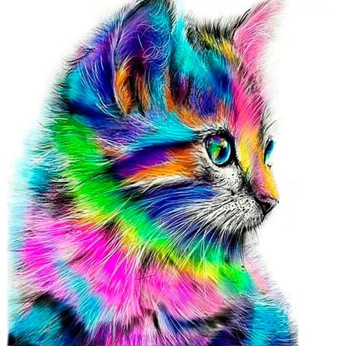 Színes cica számfestő készlet